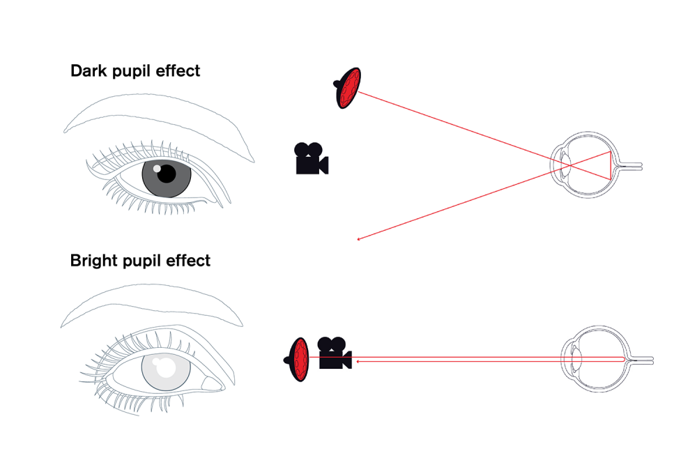 明瞳孔法と暗瞳孔法による瞳孔検出